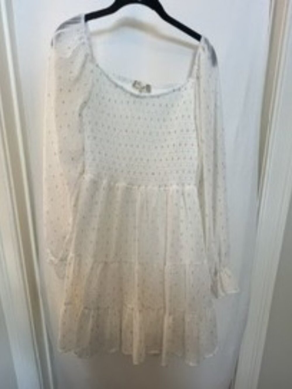 Alter'd State Cream Dress Sheer Sleeves Gold Silver Flecks Smocked Bodice Medium